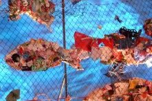 "Buen Vivir"-Konferenz in München